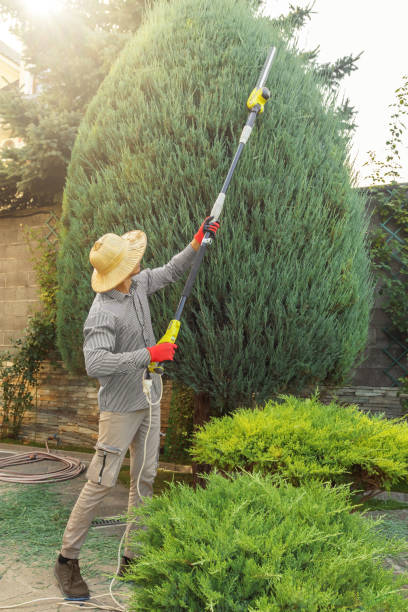 Best Utility Line Clearance  in Stockton, CA